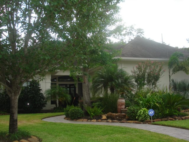 Olga's House — image 3